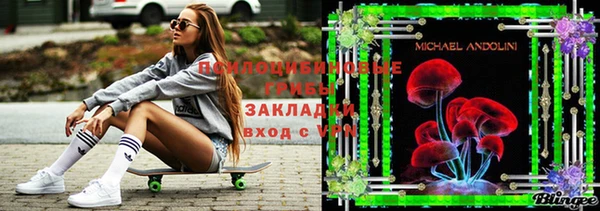 прущий лед Осташков